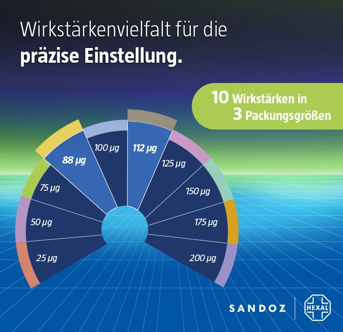 L-Thyrox HEXAL – Online-Banner 328 × 328: „Wirkstärkenvielfalt für die präzise Einstellung“