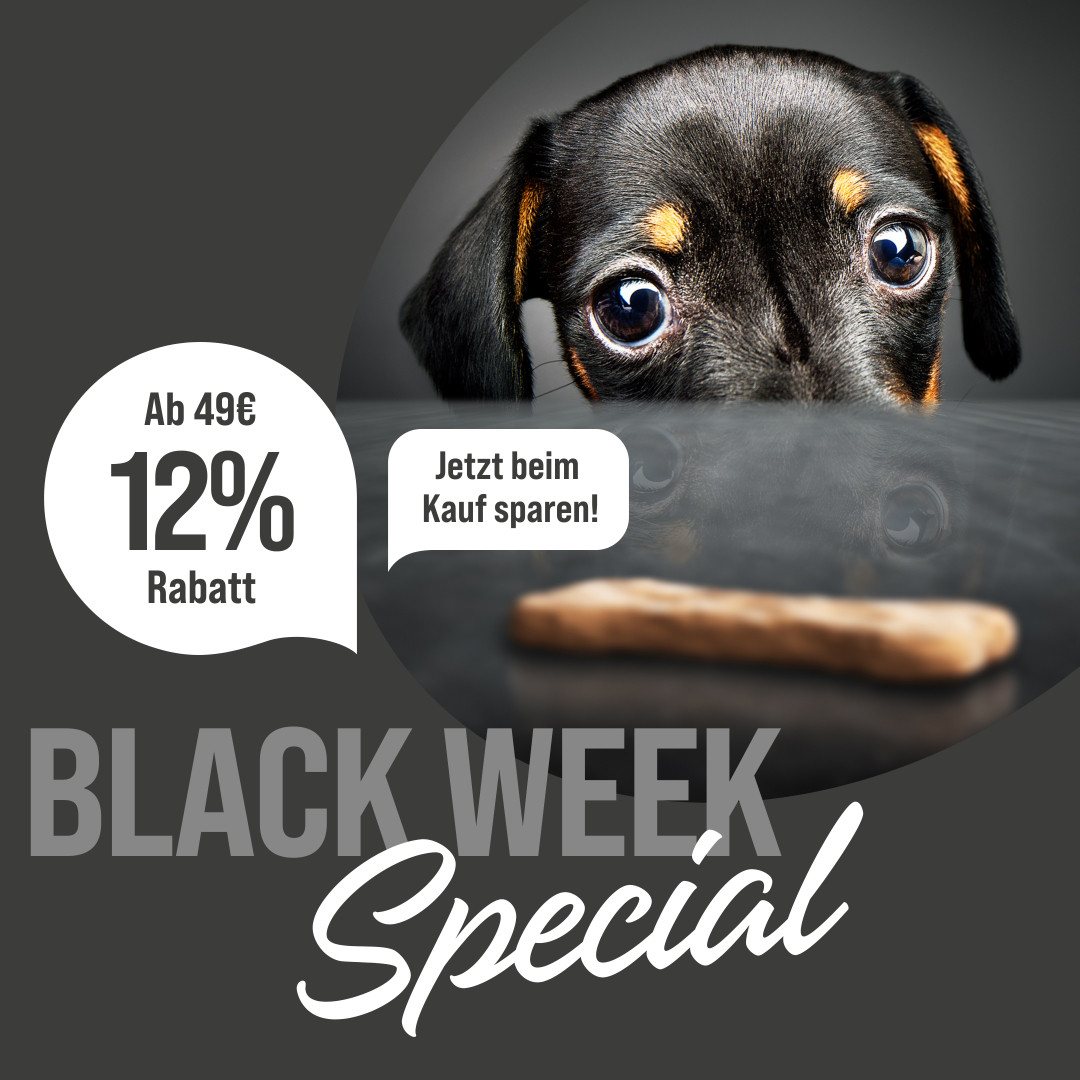 Social-Media-Post „Black Week Special“ mit Dackelwelpe und 12 % Rabatt