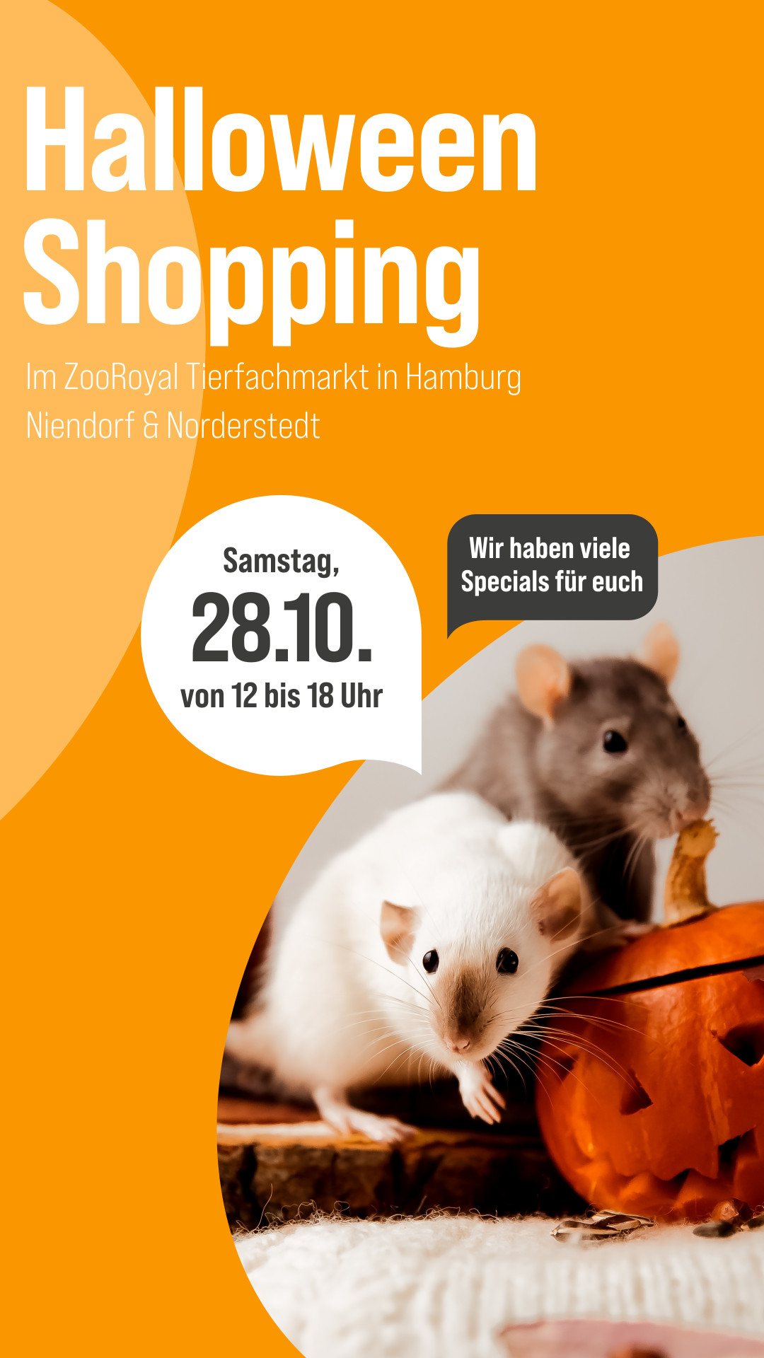 Instagram-Story „Halloween Shopping“ im ZooRoyal Tierfachmarkt Hamburg Niendorf und Norderstedt